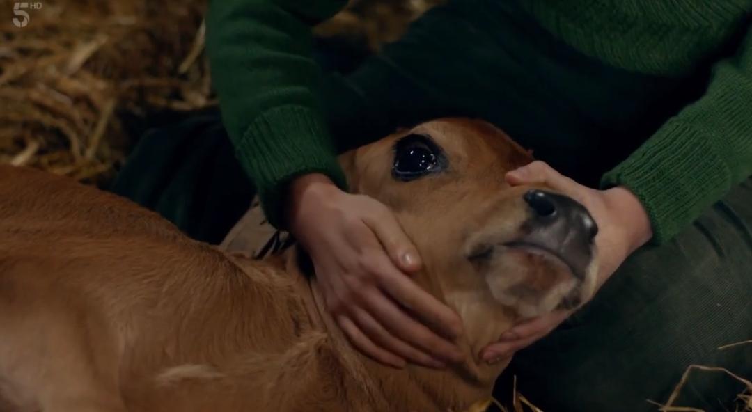 9.4，一开播就创5年收视纪录，好脏好喜欢