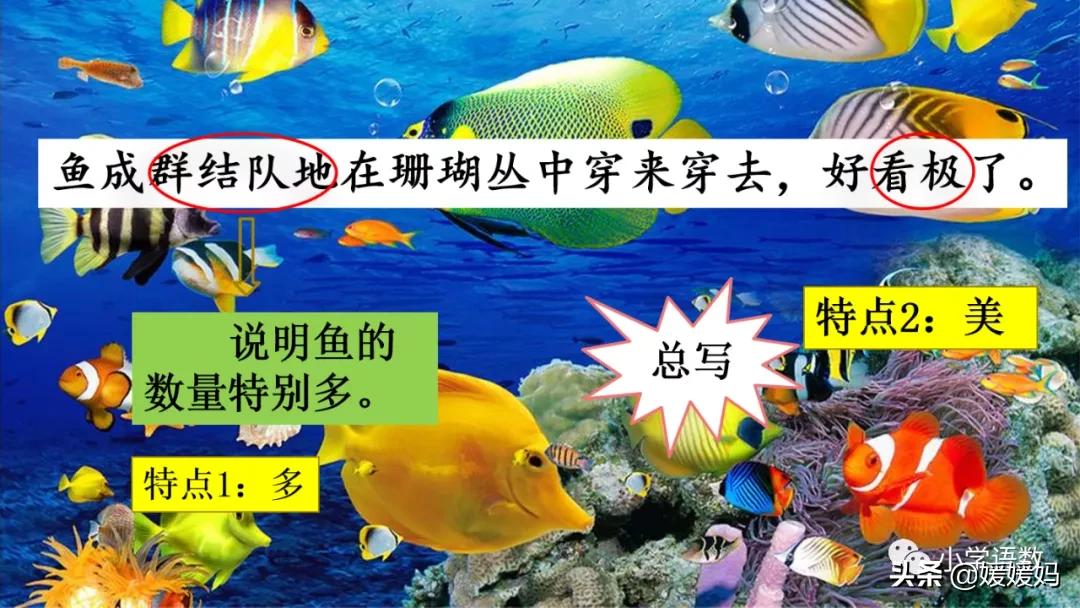 三年级第18课富饶的西沙群岛预习,3年级语文第18课富饶的西沙群岛