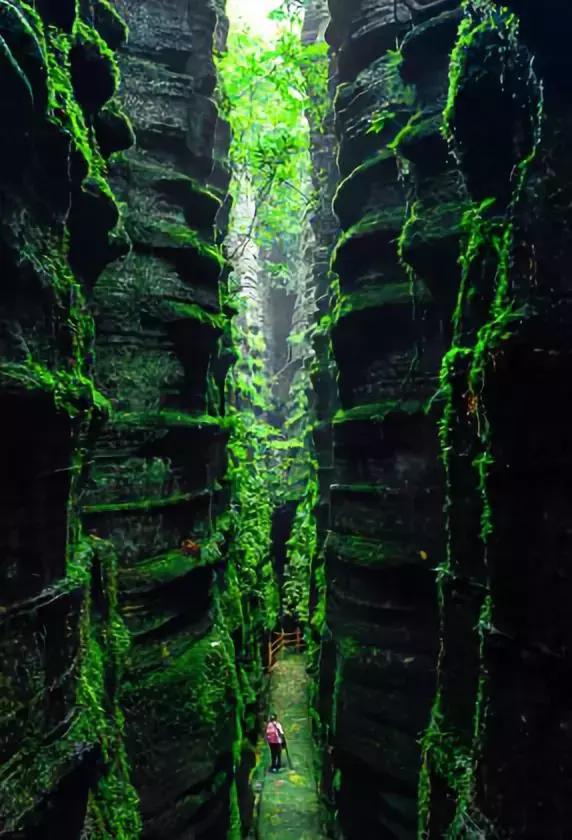 2022骞存仼鏂藉晢涓氶瓍鍔涙帓琛屾,榄呭姏鎵撳崱涔嬪煄鎭╂柦