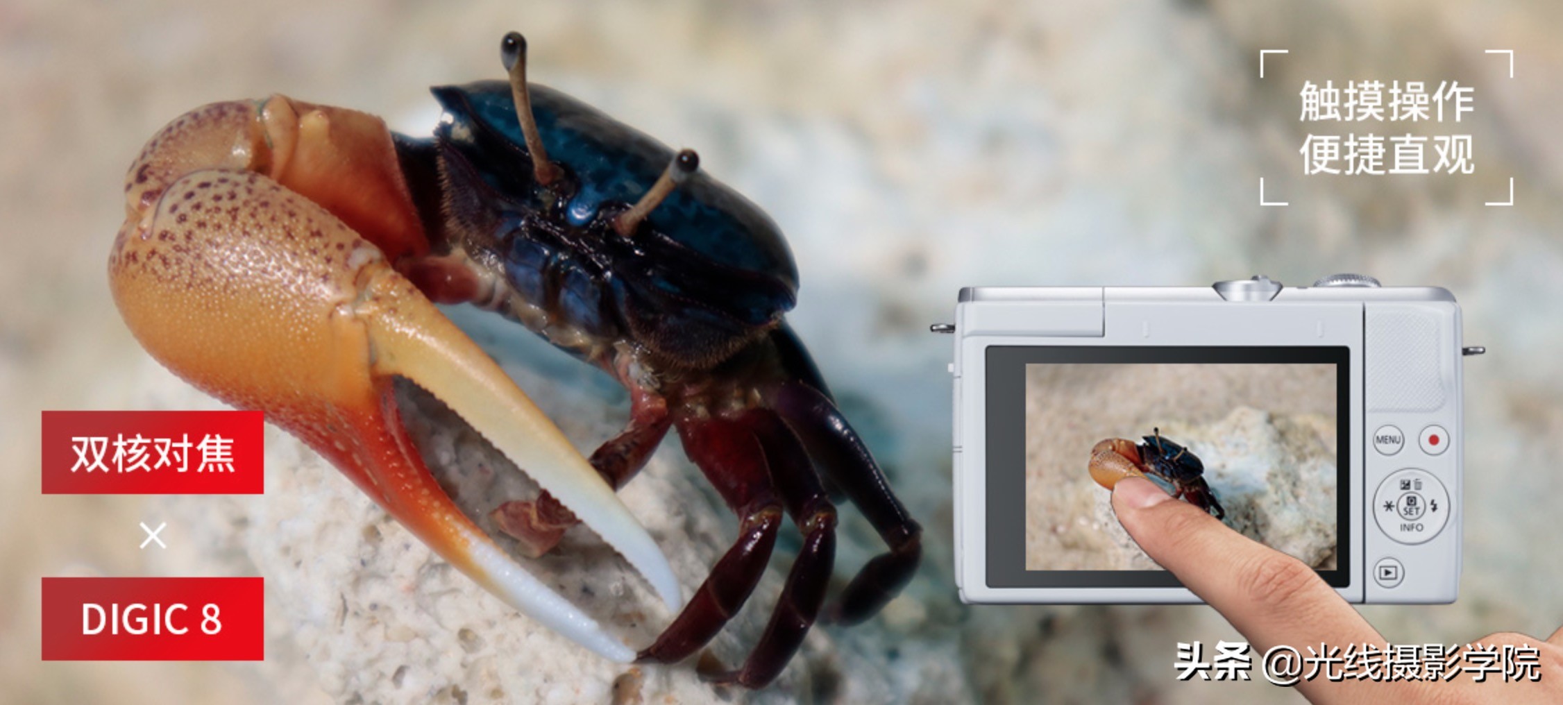 Vlog数码相机，佳能M200，索尼A6400，富士XA7，哪个更值得首选？