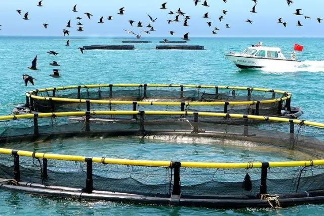 海南省临高县历史,海南临高风土人情