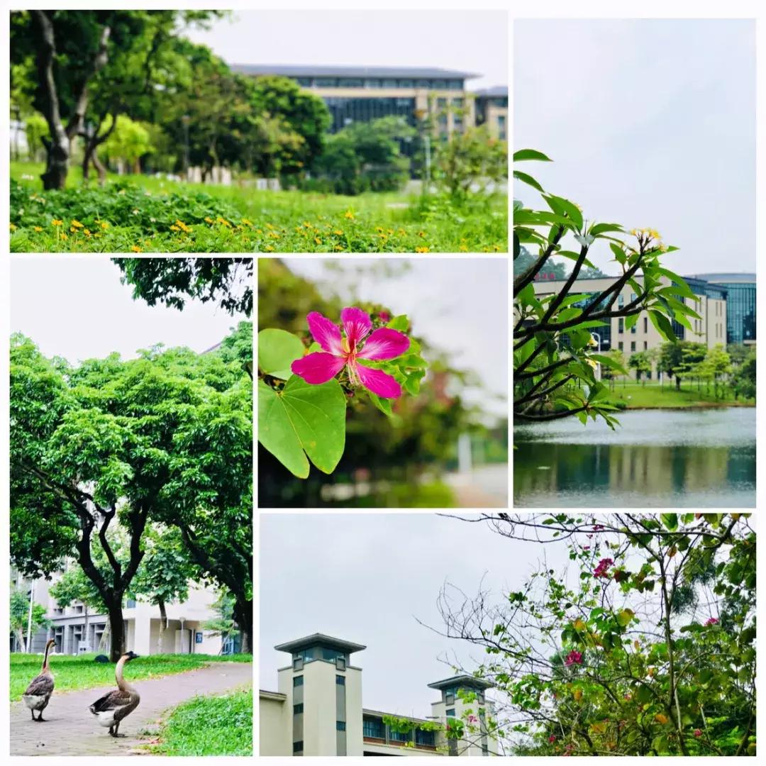 东莞理工学院城市学院新生群,东莞理工学院城市学院英语系