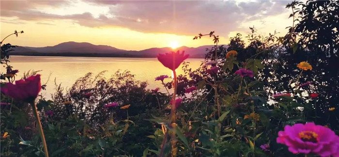 22℃的夏天丨河灯初上夜未央，花海骄艳扑鼻香，这就是富江