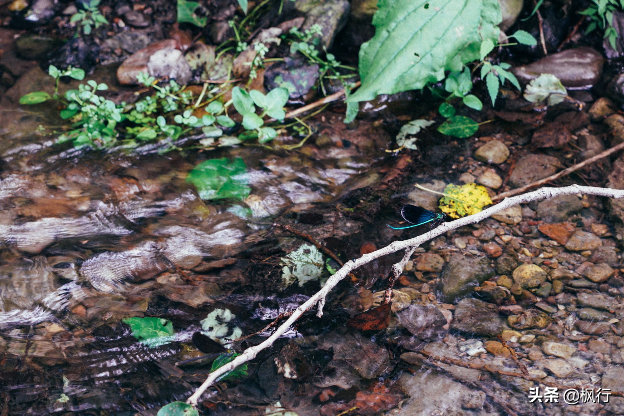 度假不逛景点适合去哪里,度假不必去远方