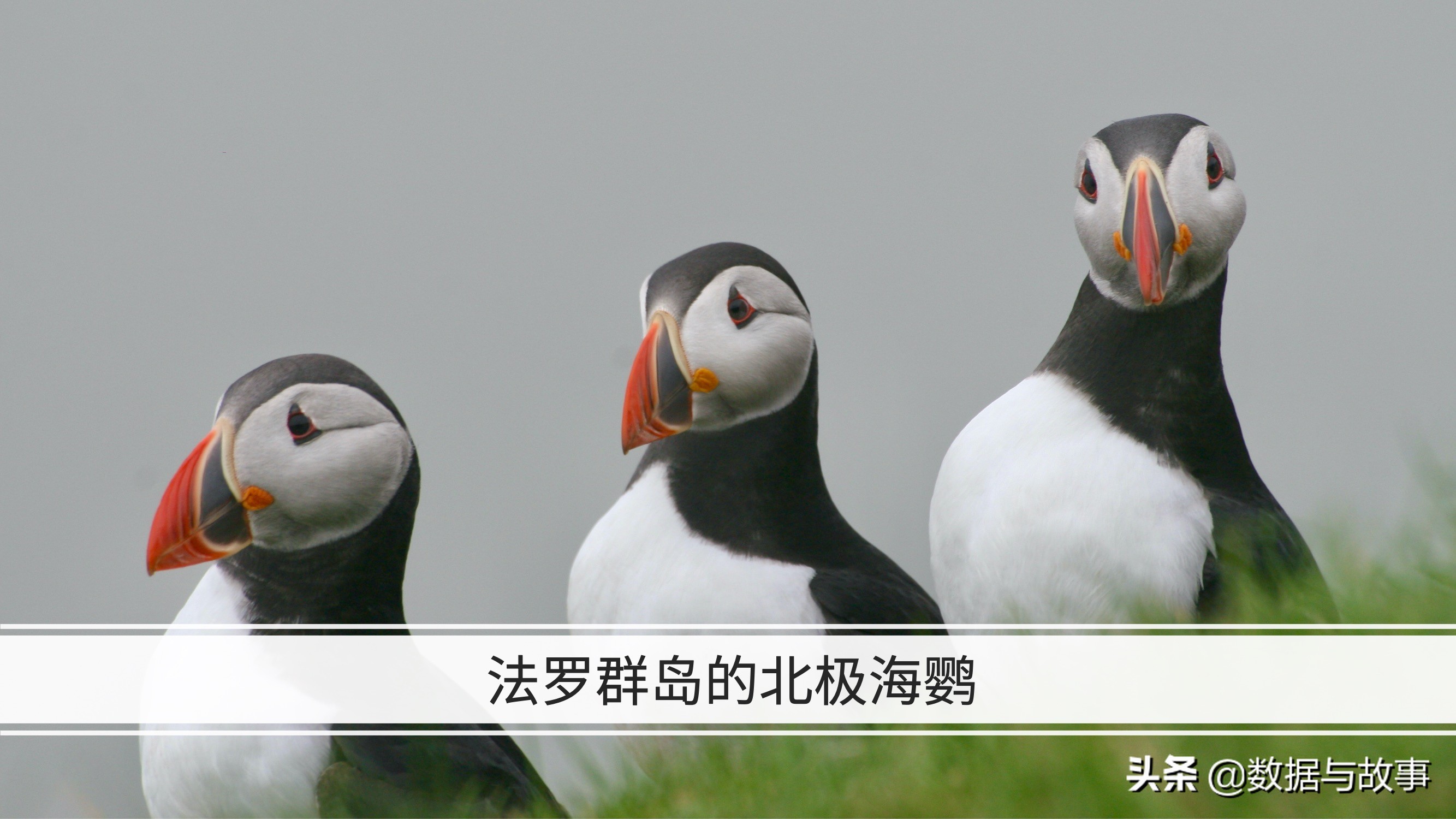 2021足球欧洲杯举办地点在哪里,德国欧洲杯地理概况