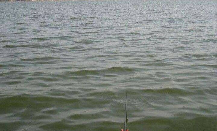 什么风向钓鱼最好,什么风向钓鱼最佳