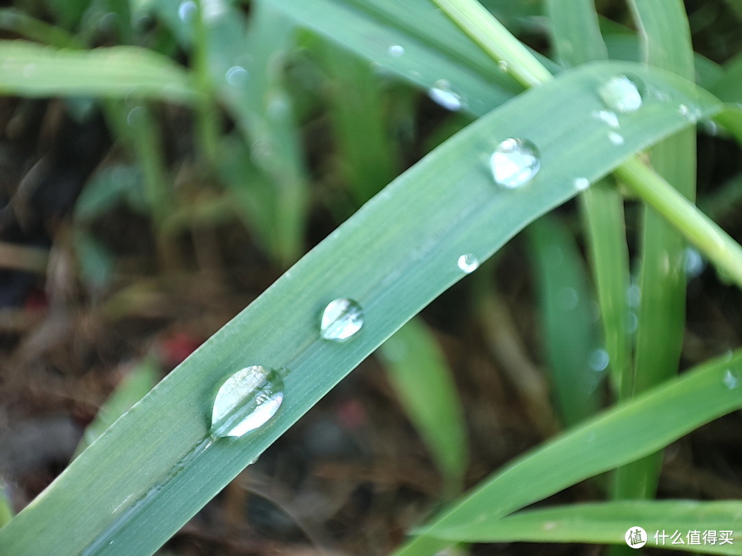 最开始买红米k40的使用感受,红米k40真实拍照体验