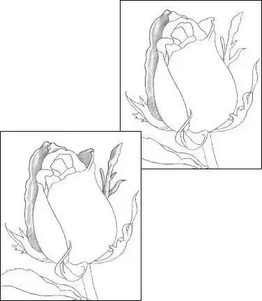 鐜懓绱犳弿鏁欑▼,绱犳弿鐜懓鐢绘硶鏁欑▼