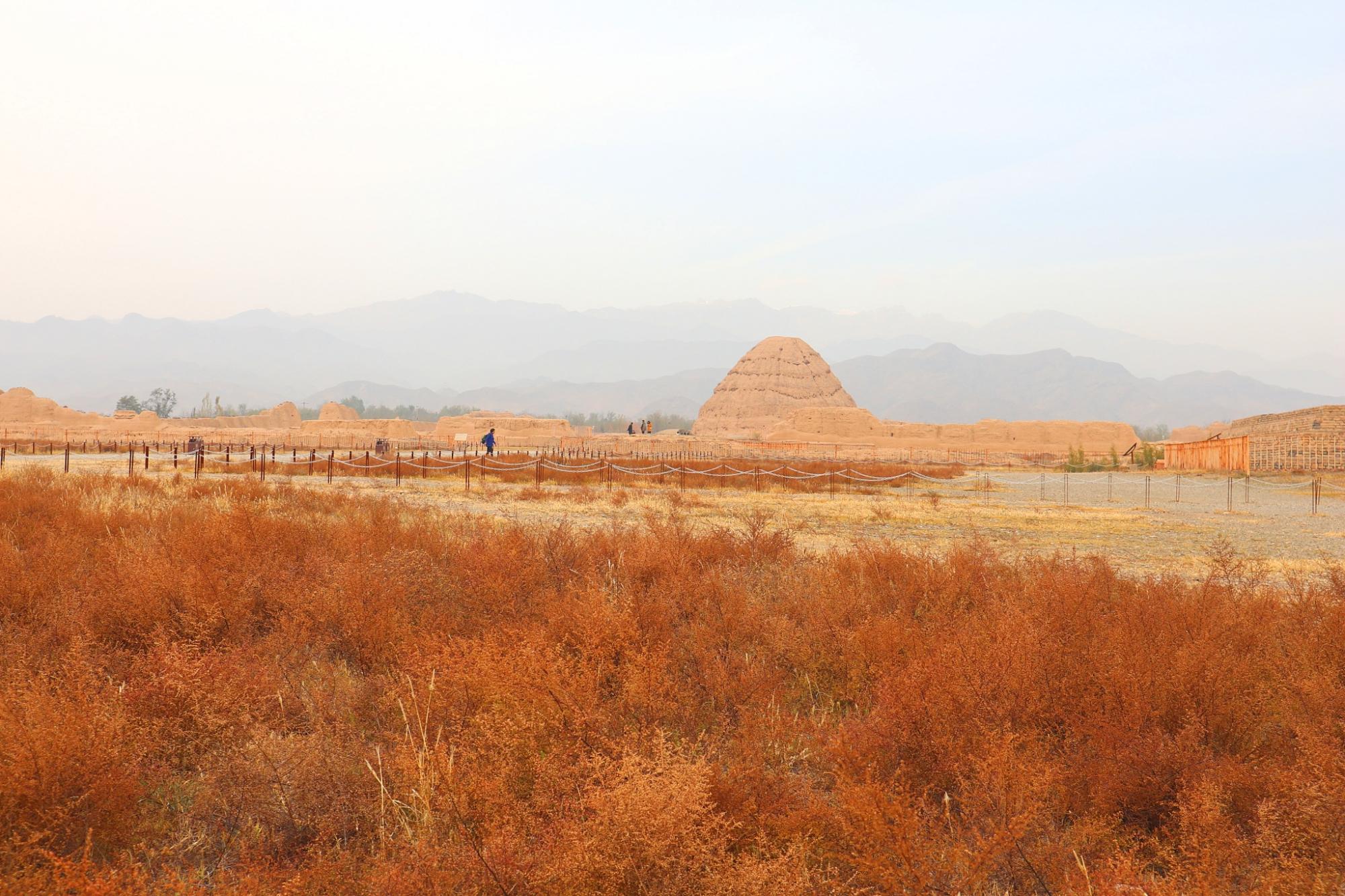 银川的西夏王陵,银川西夏王陵