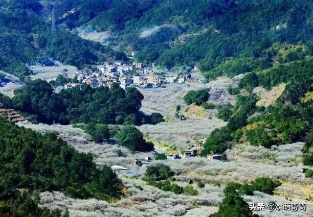 御水温泉陆河,御水湾温泉度假d区