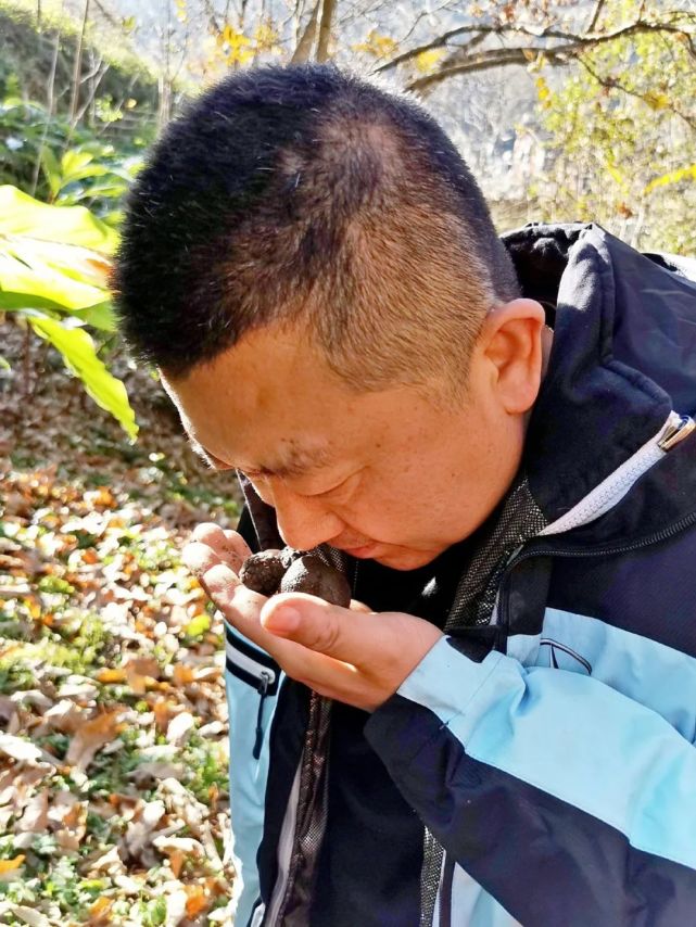 白松黑露，在丽江「上演旷世传奇」