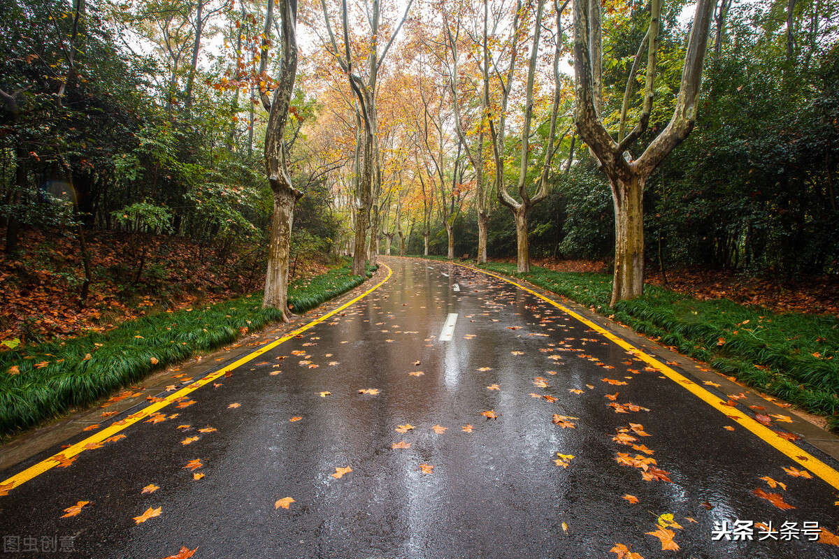 下雨天鸡用啥药预防,高温天气鸡容易得什么病