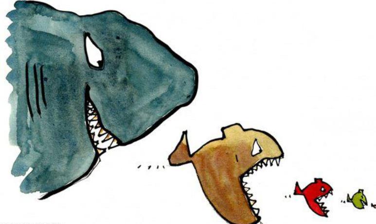 金鱼养多了怎么处理,金鱼养得越来越瘦