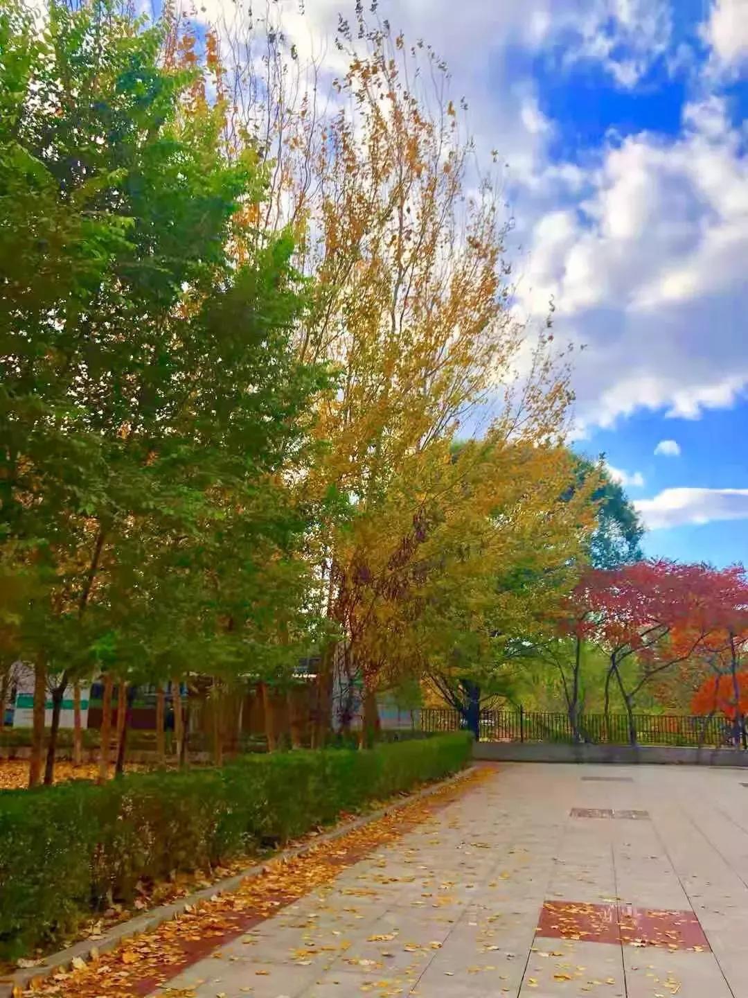 辽宁中医药大学杏林学院有独卫吗,辽宁中医药大学杏林学院属于3+2吗