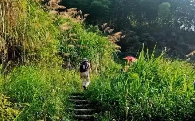 去了10次也不腻的地方,芜湖最值得一去的地方