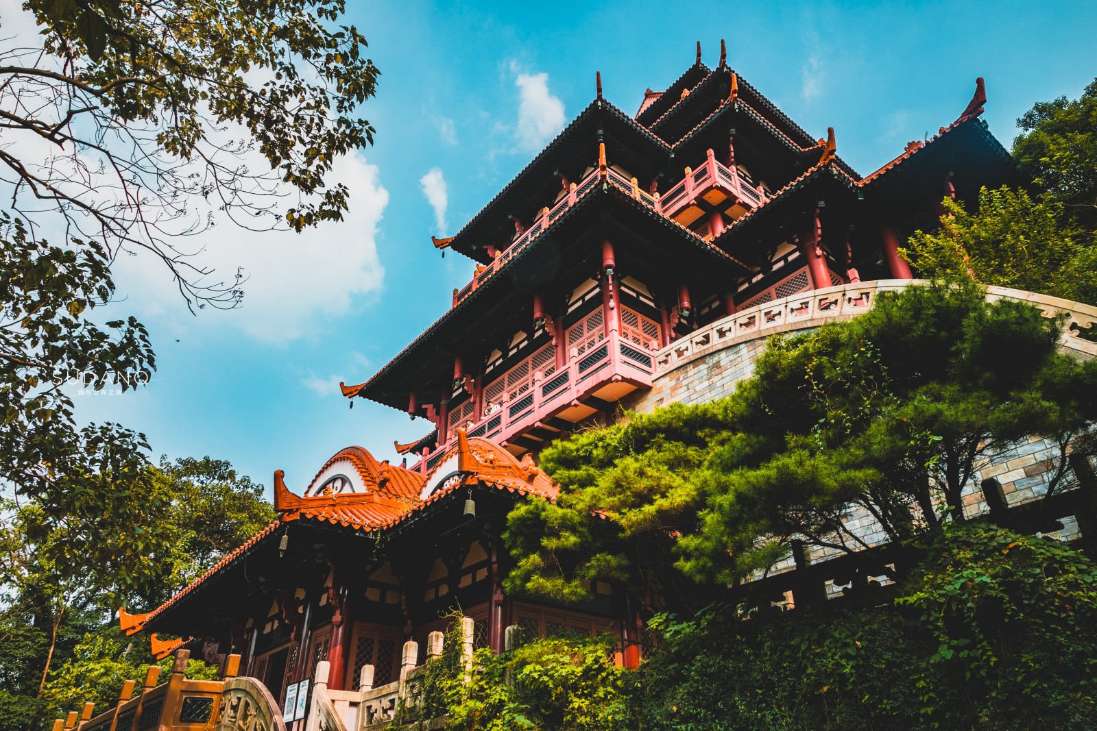 十大ufo事件,武汉东湖事情