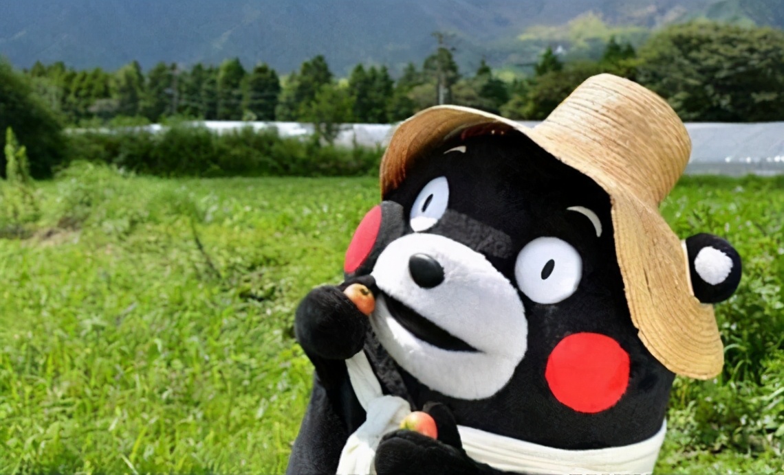 玩转日本东京大阪奈良,日本关东自由行旅行攻略