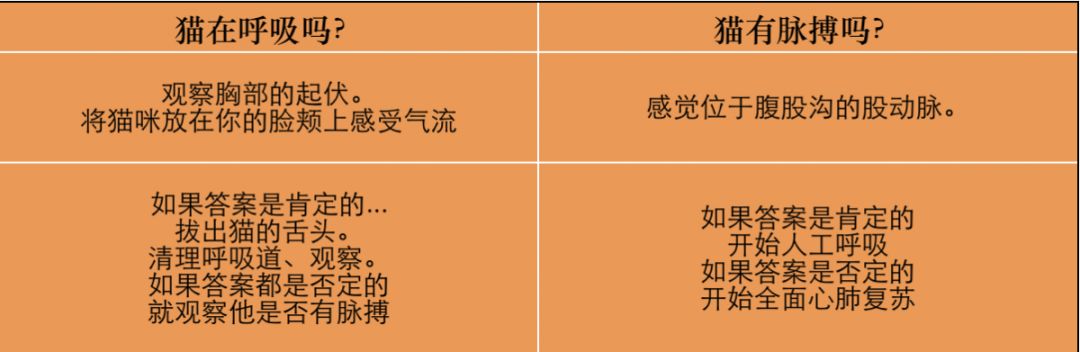 猫咪生下来不动怎么抢救,如何抢救要死的猫咪