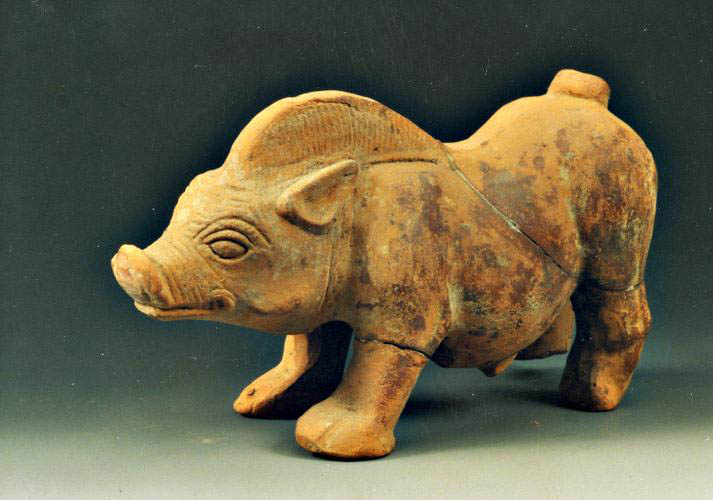 中国古人如何养猪,为什么古代人要养猪呢