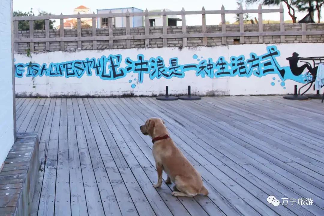 万宁日月湾适合亲子游吗,海南旅游万宁日月湾