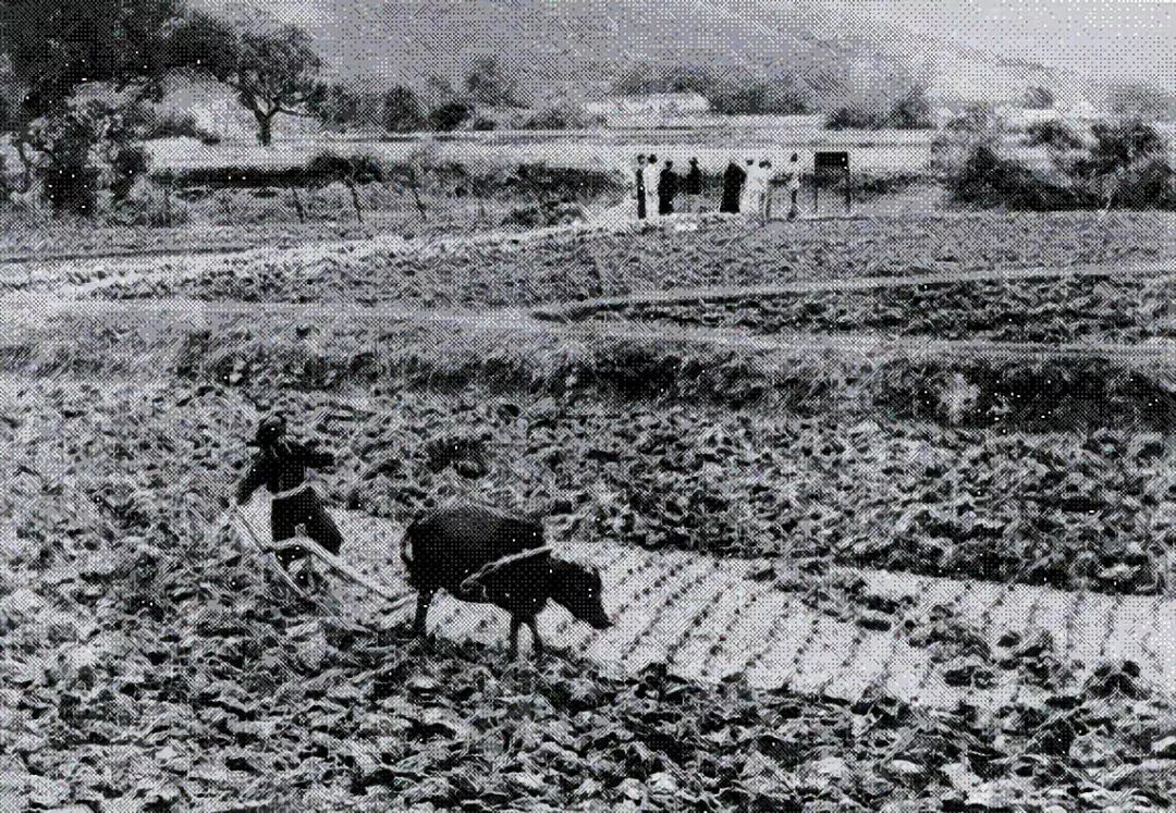 外网看深圳40年的变迁史,深圳特区40年光明变迁记