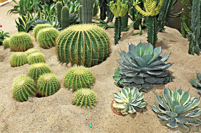 孕期打印机对胎儿有影响吗,孕妇在打印室工作对胎儿有影响吗