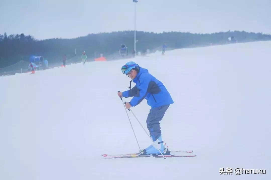 南方也能下雪吗,南方也能见到雪