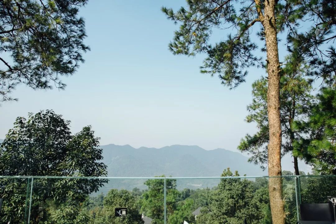 放弃百万年薪隐居深山,放弃30万年薪隐居深山