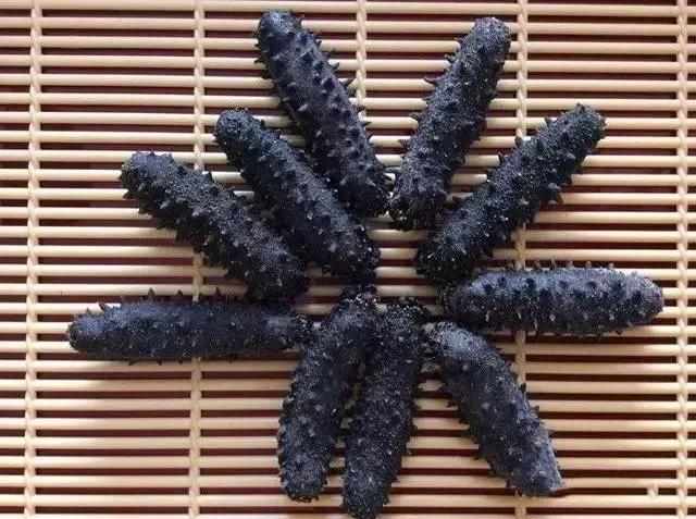 海参的高级介绍,海参营养丰富可你真的了解海参吗