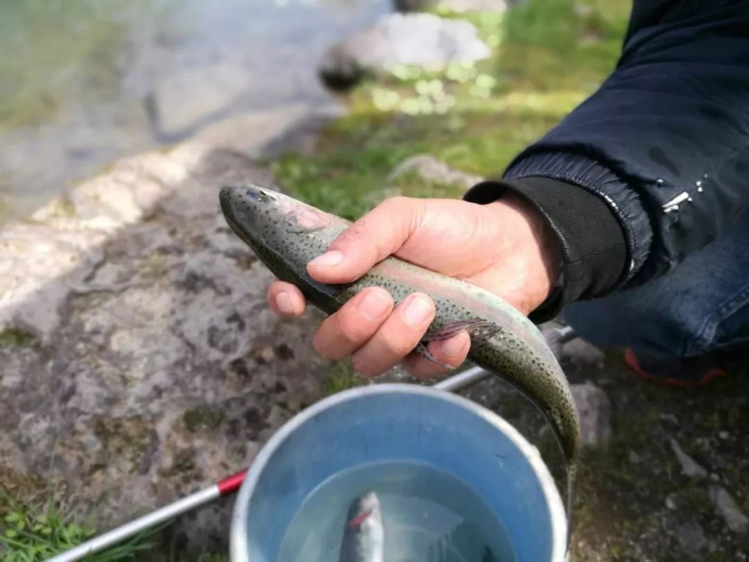 15天8000里,我们刚去名古屋和日本人抢了个五一假期
