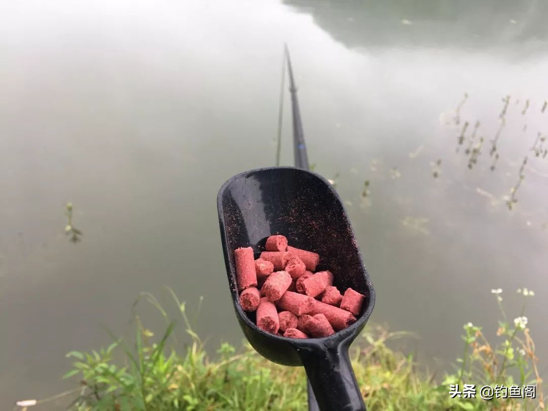 大鱼水深好钓还是水浅好钓,钓大鱼一般钓几米深水