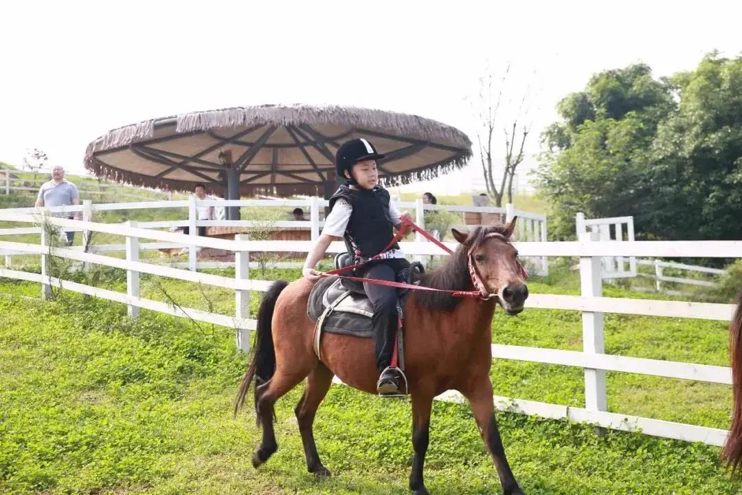 青白江十大健身地,青白江体育