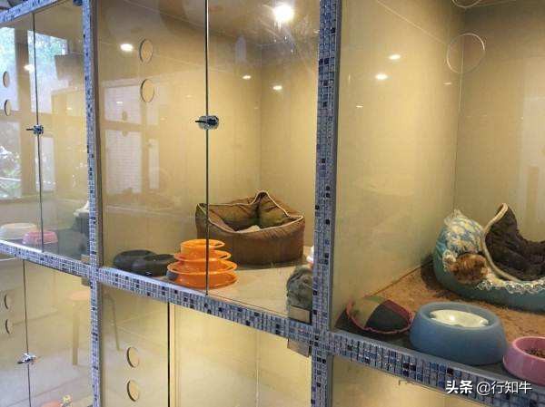 小本创业最赚钱的20个项目,10万做什么小本创业项目好求推荐