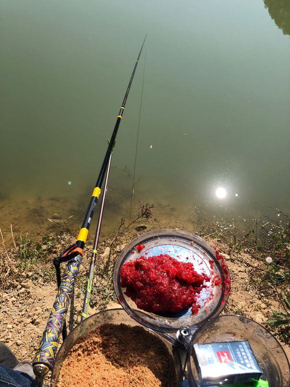 春钓鲮鱼用什么饵最好,钓鲮鱼的技巧和方法