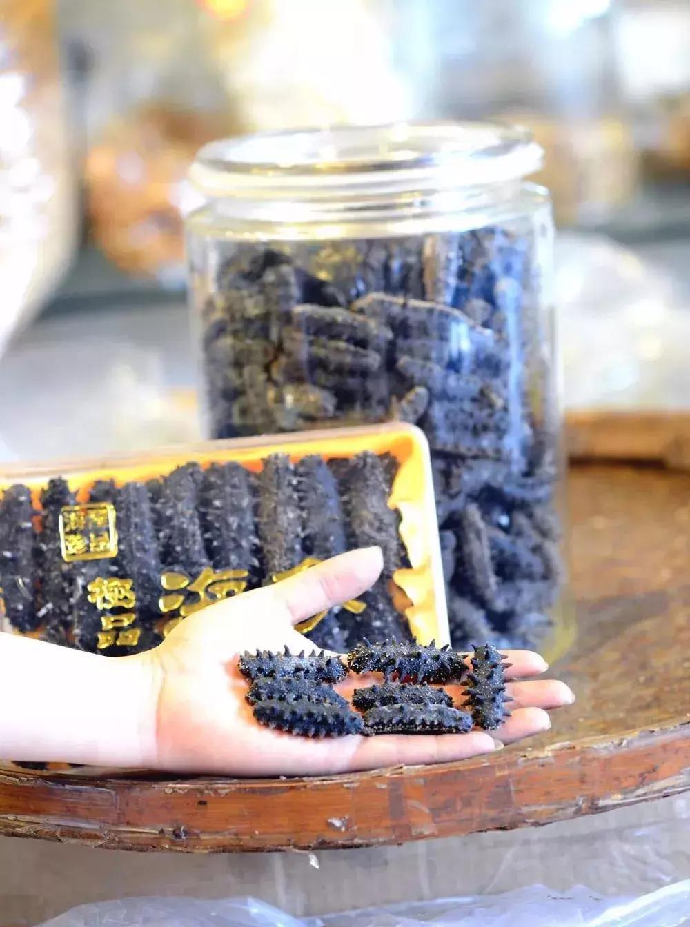 海参物种科普,海参100种图片