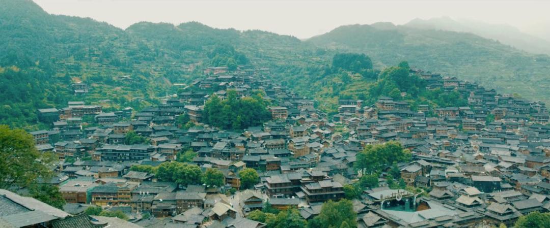 我和我的家乡陈思诚拍的哪一部,我和我的家乡陈思诚