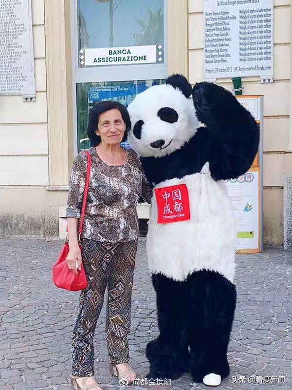 熊猫宝宝来中国,成都熊猫婴儿