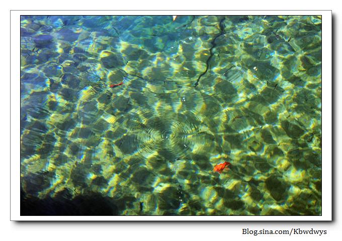 生活杂记|济南章丘百脉泉（20111212）