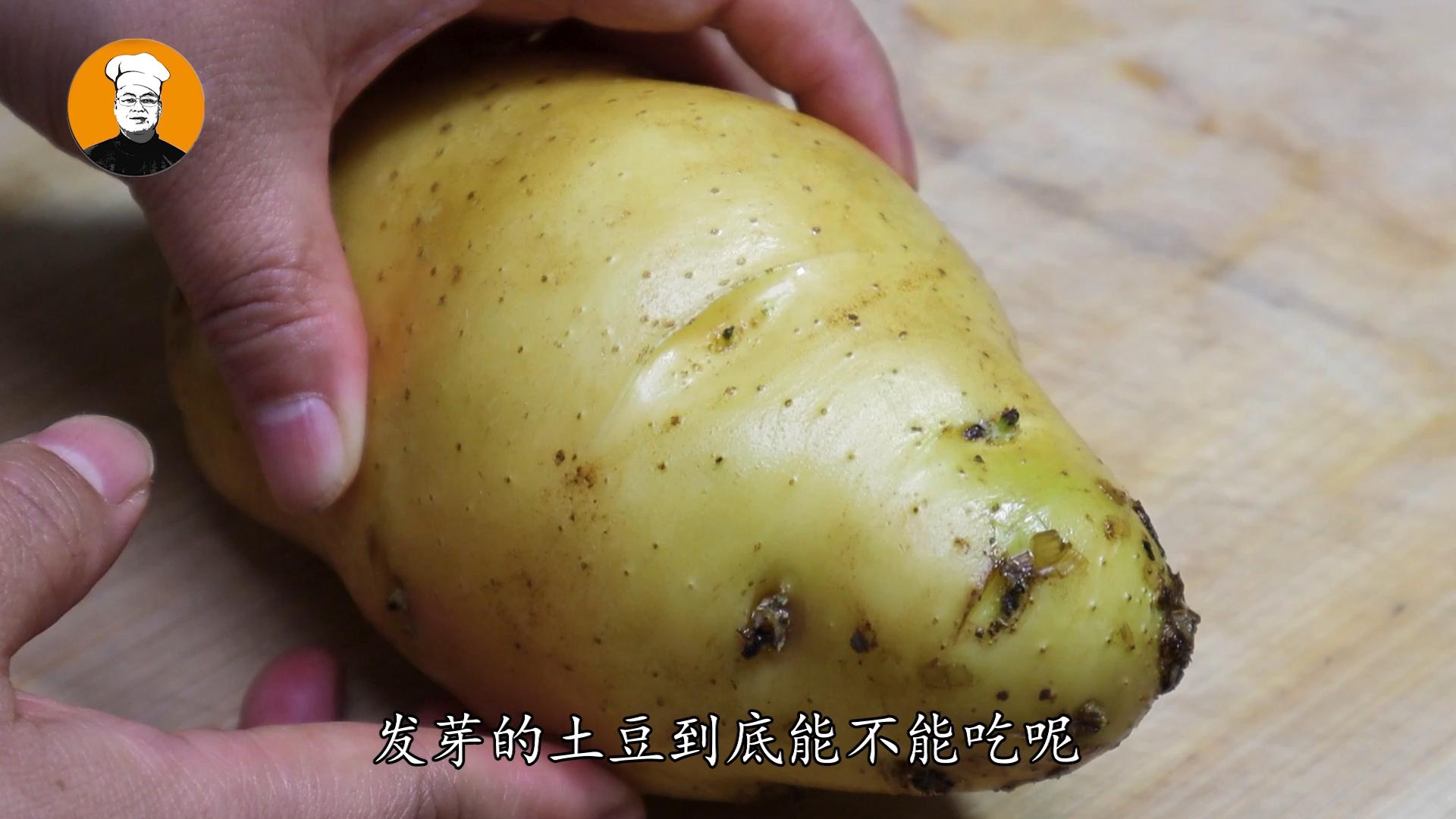 土豆发芽还可以吃吗有哪些危害,土豆发芽了种到土里还有毒吗