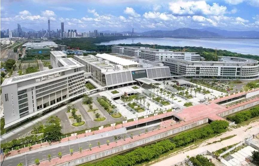 医生薪酬50万,港大深圳医院行政人员平均薪酬