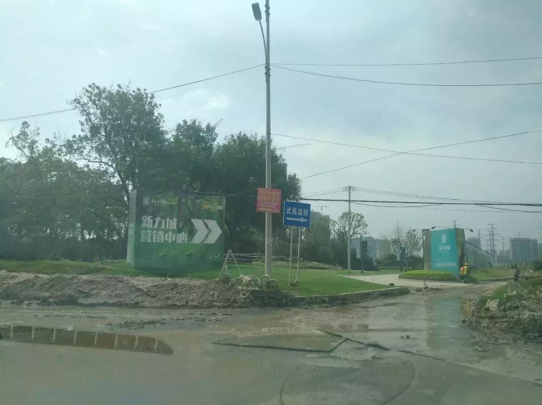 白沙洲告别篇:留汉大学生“首站”青菱新区