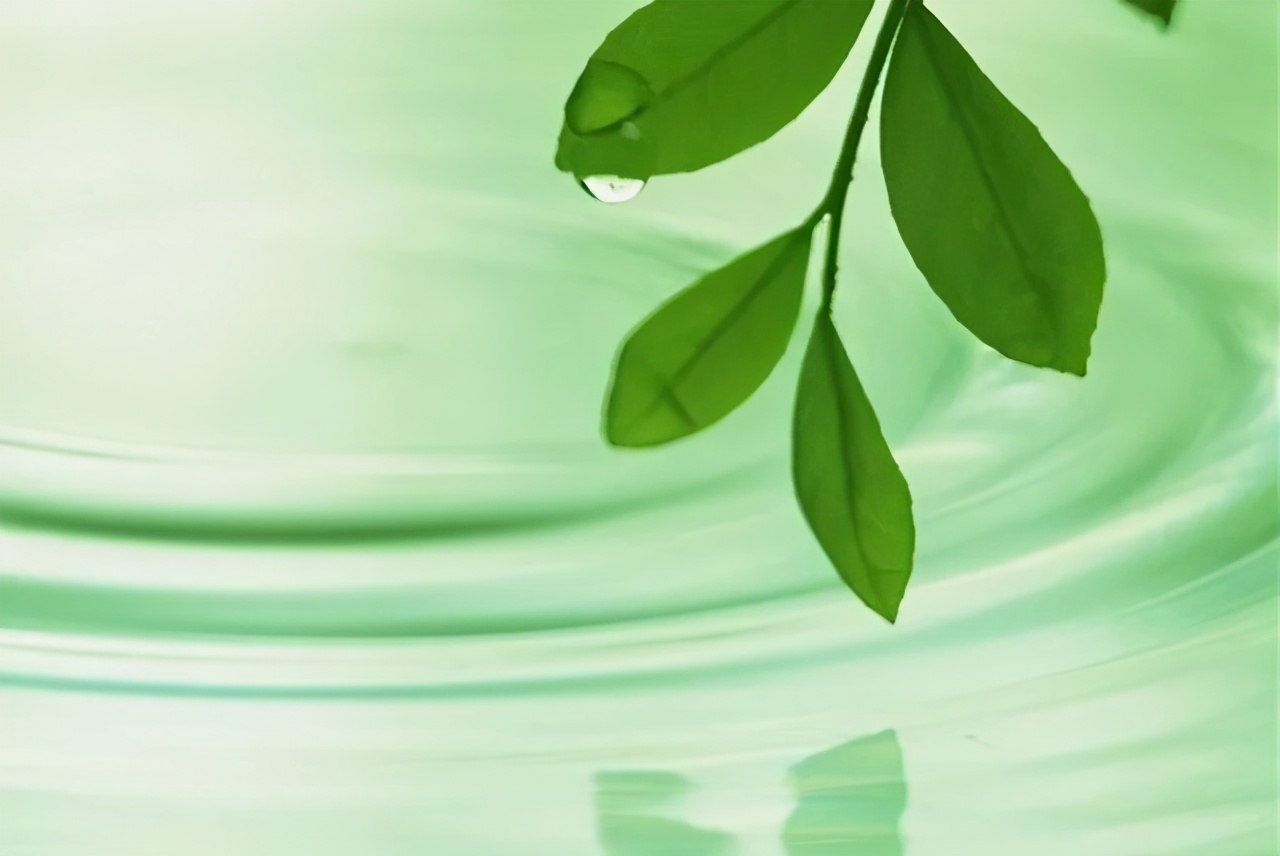 《一叶书签》作者：薄荷淡香儿童主播：石玮杭