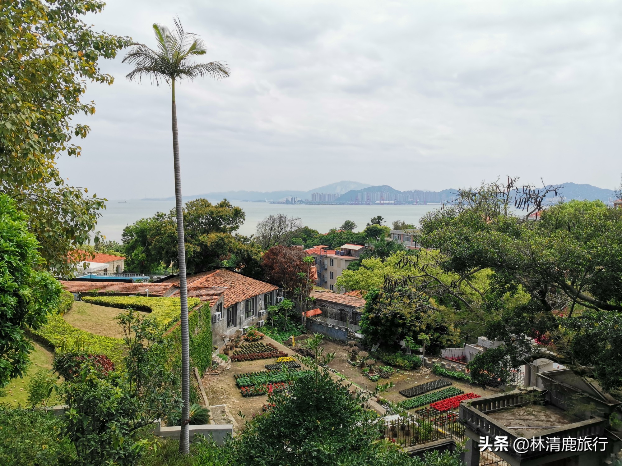 鼓浪屿为什么会有钢琴之岛的美誉,中国最美五大城区鼓浪屿