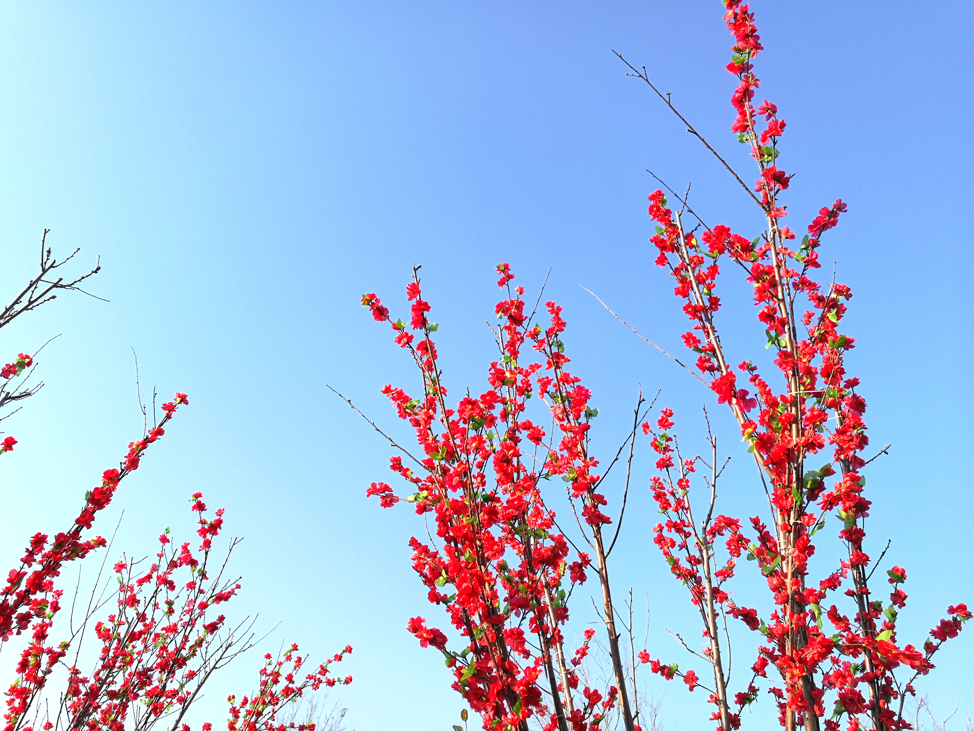 永远也别让别人知道你在想什么,永远别让人知道你的底牌