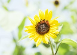 2019事业单位公共基础备考知识点——*款贷**,借款合同