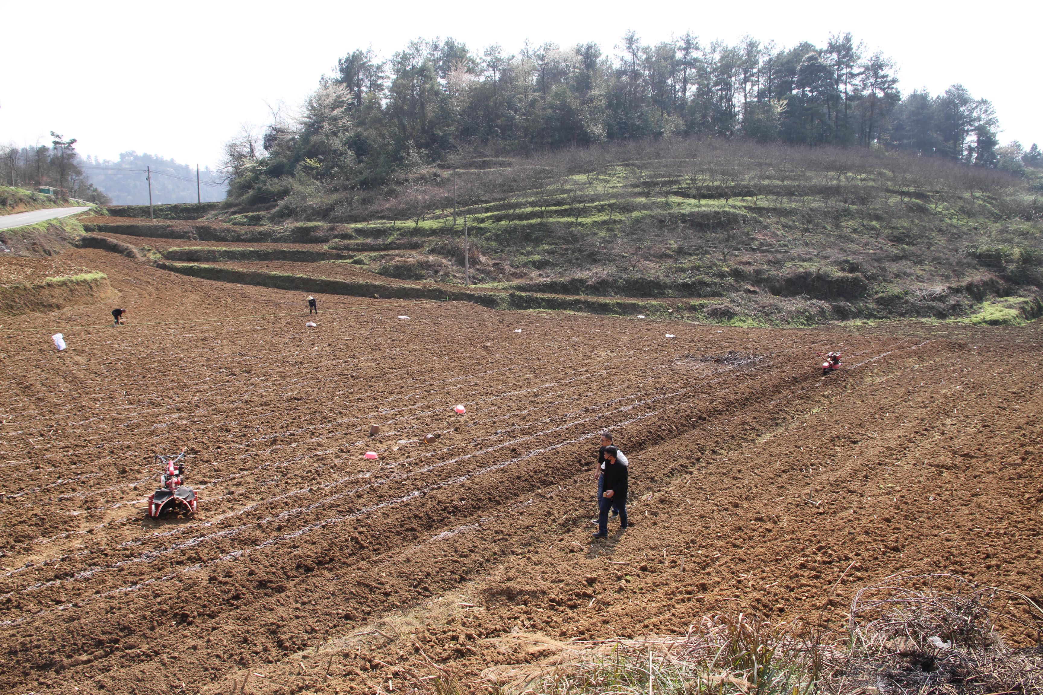 贵阳市开阳县*草烟**专卖局（分公司）奋进在高质量发展的新征程！