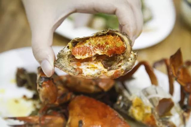 藏在海边的摩洛哥花园！夫妻俩不懂设计，却打造出厦门...