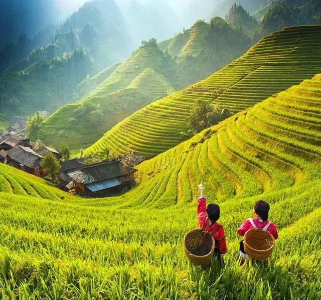 「漫步学府，行摄龙脊」最美金秋，我在这里等你