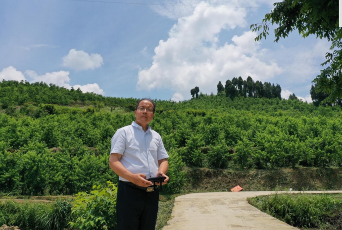 投资果园需要多少钱,投资果园有什么好项目