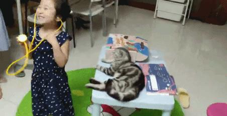 stem玩具视频,stem玩具是什么